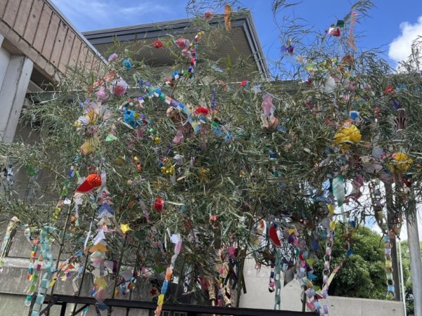 🎋七夕飾りつけ🎋