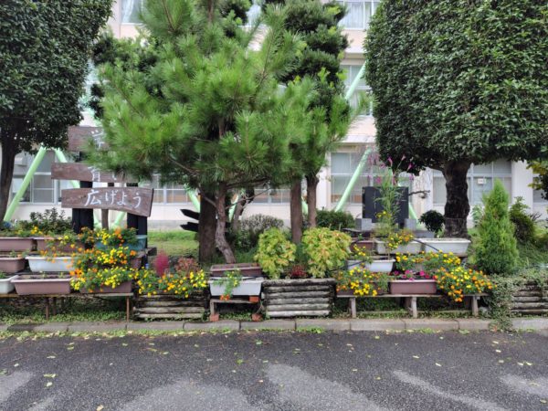 【花壇サークル】🪻花苗植えをしました🪻