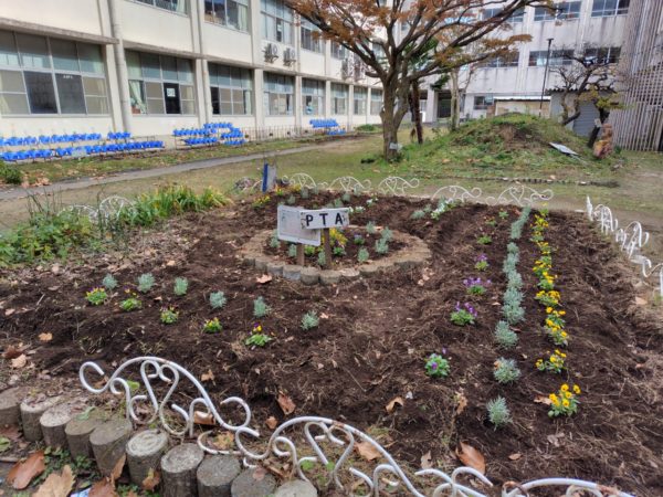 【花壇サークル】🌷花苗、チューリップ球根植え🌷