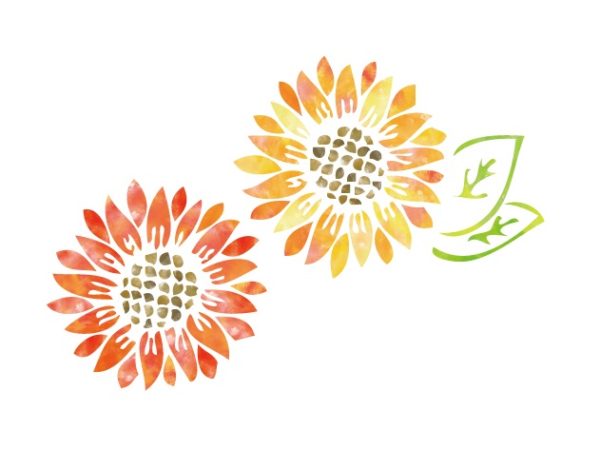 【ボラセン】ボラセンだよりVol.１